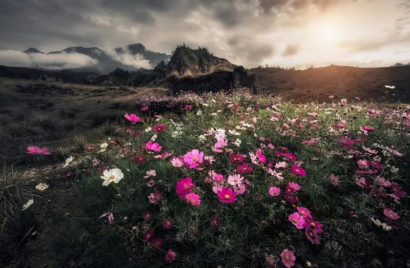 个人的竞争力取决什么,提高个人竞争力的四种品质