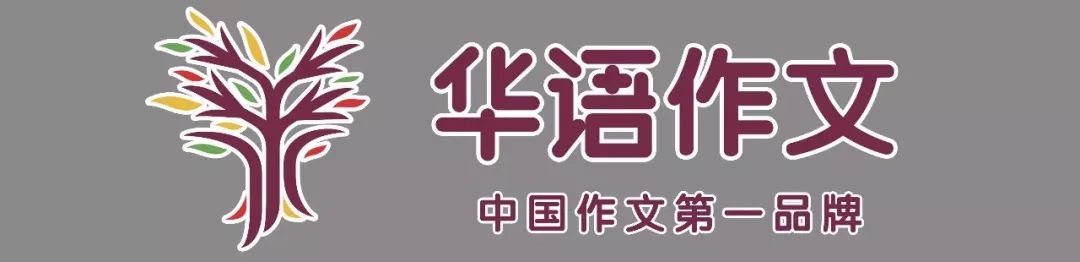 欧美思教育招生,深圳欧美思教育