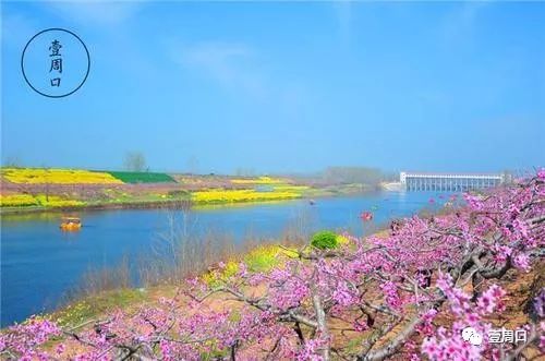 什么是喜欢才算真正喜欢,什么是周口市