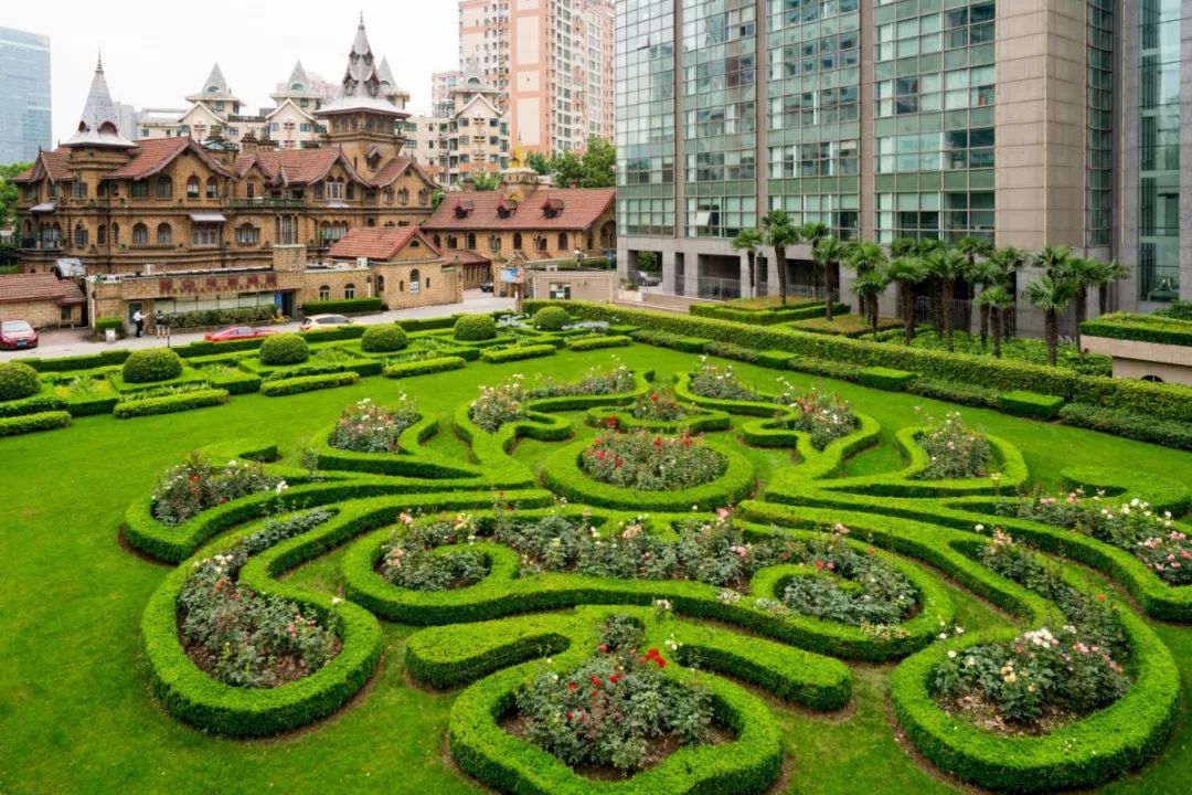 来到上海后的震撼,去了上海就去了全世界