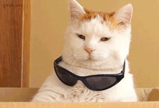 太阳镜对眼睛无害又能保护眼睛,普通的太阳镜对眼睛有伤害吗