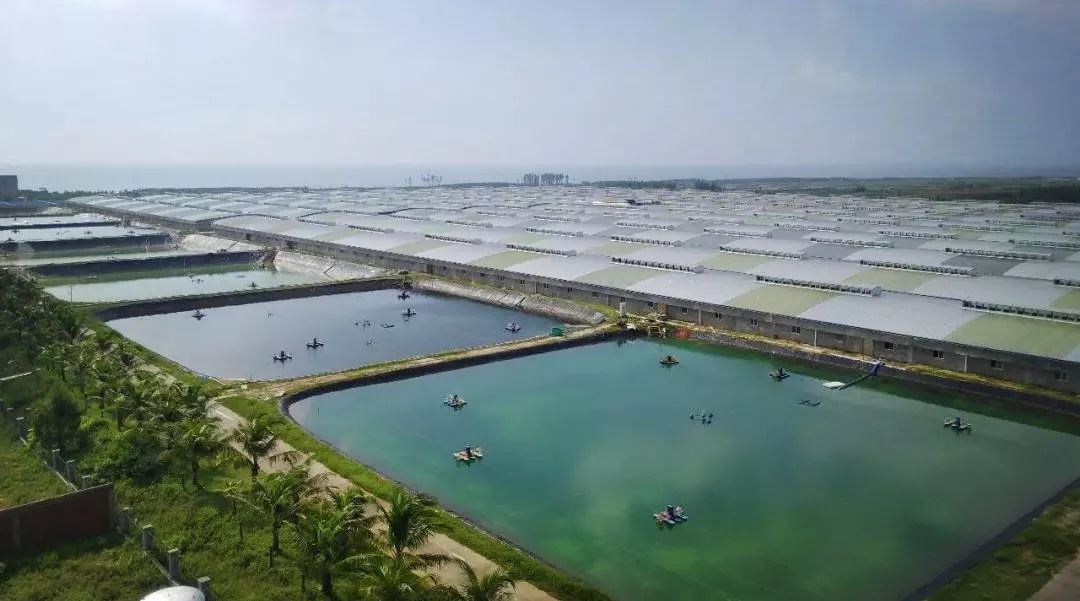 雷州三大半岛规划,雷州三大半岛简介