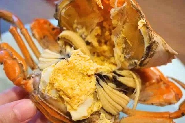 六月黄是发育不良，黄油蟹是病入膏肓