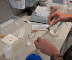 小考拉让人心疼,瘦弱的小考拉