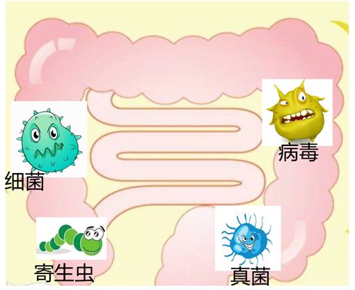 夏天宝宝突然拉肚子的原因,夏天宝宝突然拉肚子怎么办