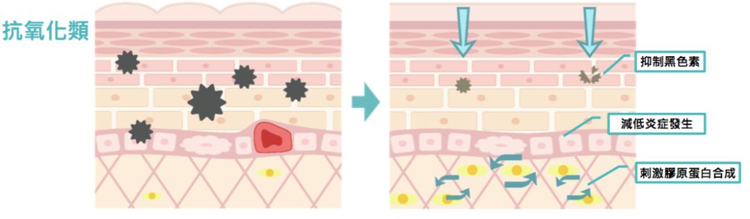 4成抗衰老眼霜抗衰老功效并不显著，同样功效的眼霜价格竟相差7倍？小鱼抗衰老眼霜绿鱼榜单为你揭晓