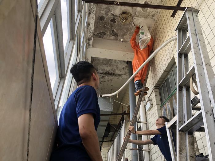 烈火英雄时辰,烈火英雄12时辰