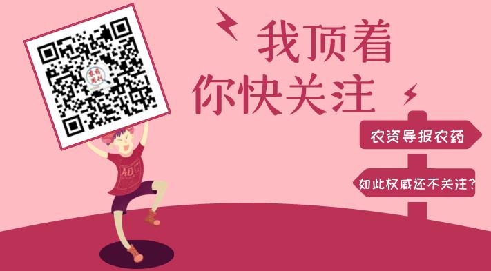 全丰施必达国光,辣椒叶面肥增产专用