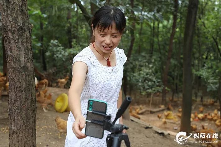 枞阳姑娘“直播养鸡”!一年卖出100万!