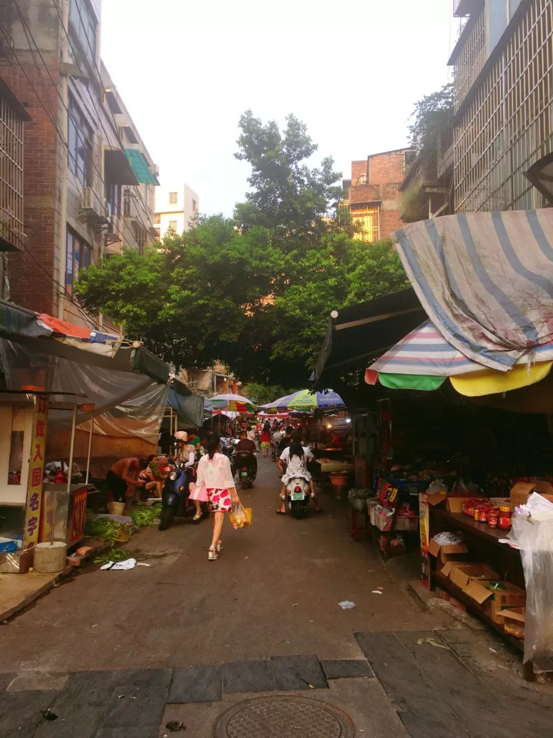 下一站曙光图片,下一站光明顶