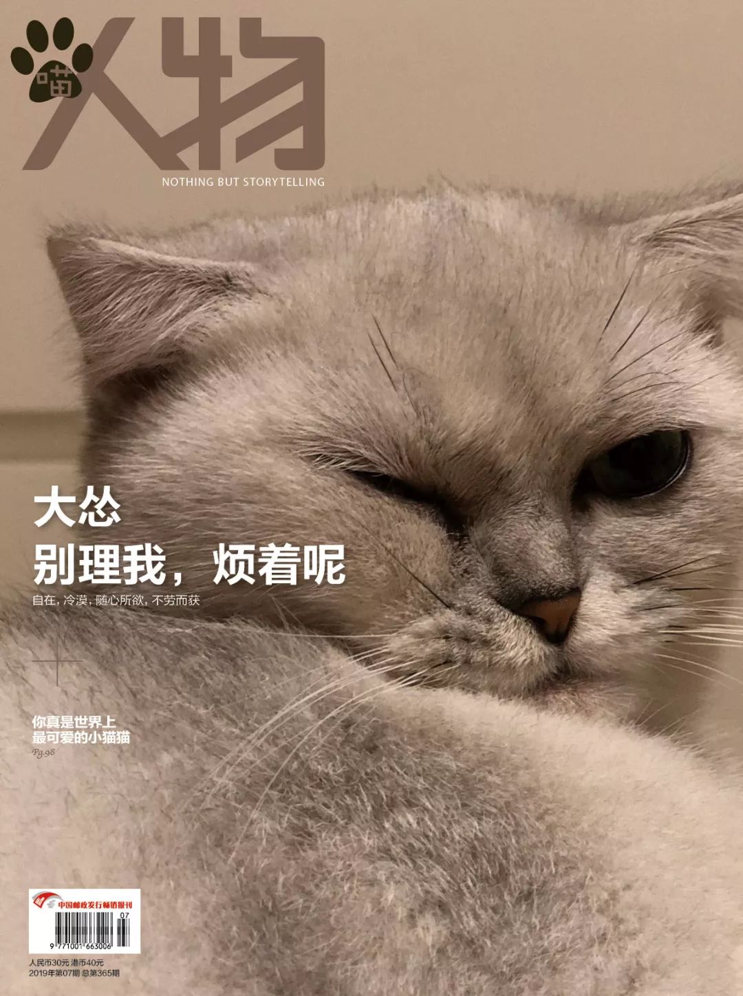 猫知道想主人吗,猫知道下雨下雪