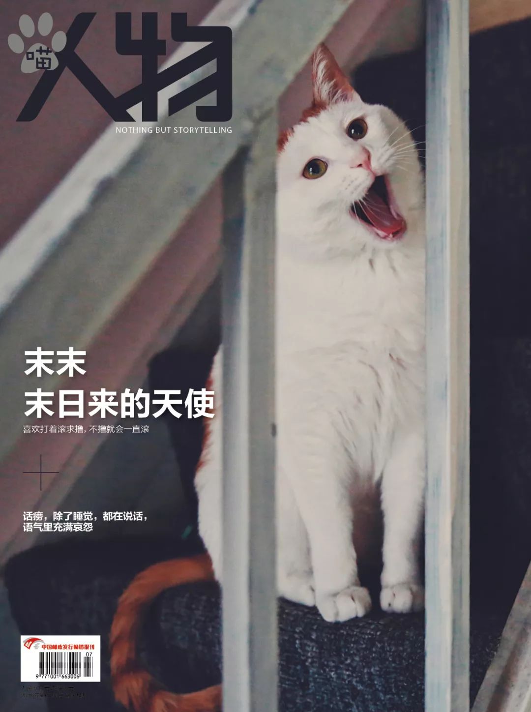 猫知道想主人吗,猫知道下雨下雪