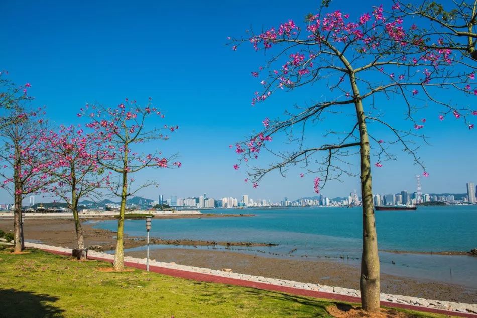 这是一场冰雪世界与海上花园的相遇,期待与你碰撞出不一样的火花~