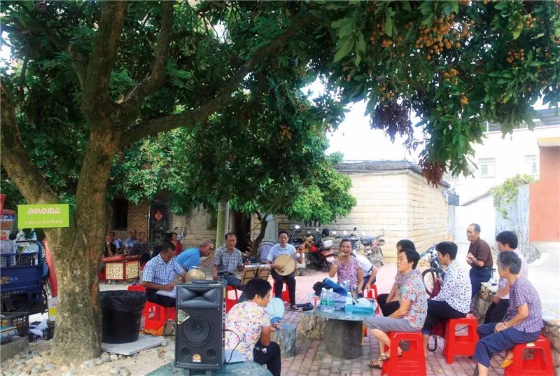 这是一场冰雪世界与海上花园的相遇,期待与你碰撞出不一样的火花~