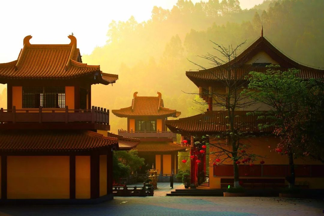 这是一场冰雪世界与海上花园的相遇,期待与你碰撞出不一样的火花~