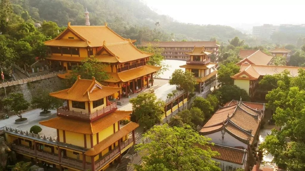 这是一场冰雪世界与海上花园的相遇,期待与你碰撞出不一样的火花~