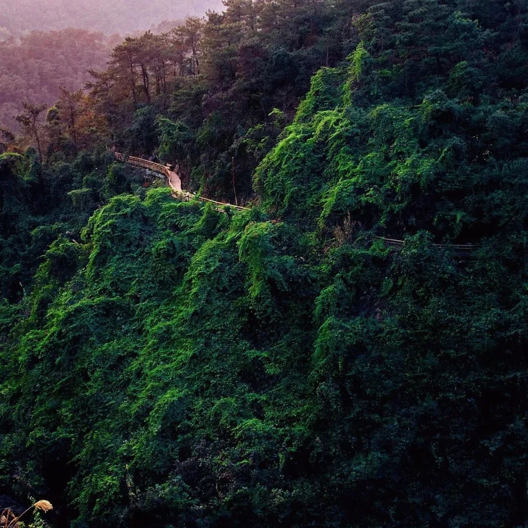 体验感不错的旅游项目,体验感不错