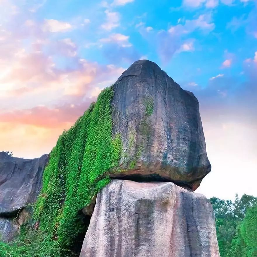 这是一场冰雪世界与海上花园的相遇,期待与你碰撞出不一样的火花~