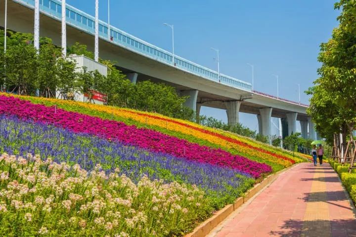 这是一场冰雪世界与海上花园的相遇,期待与你碰撞出不一样的火花~