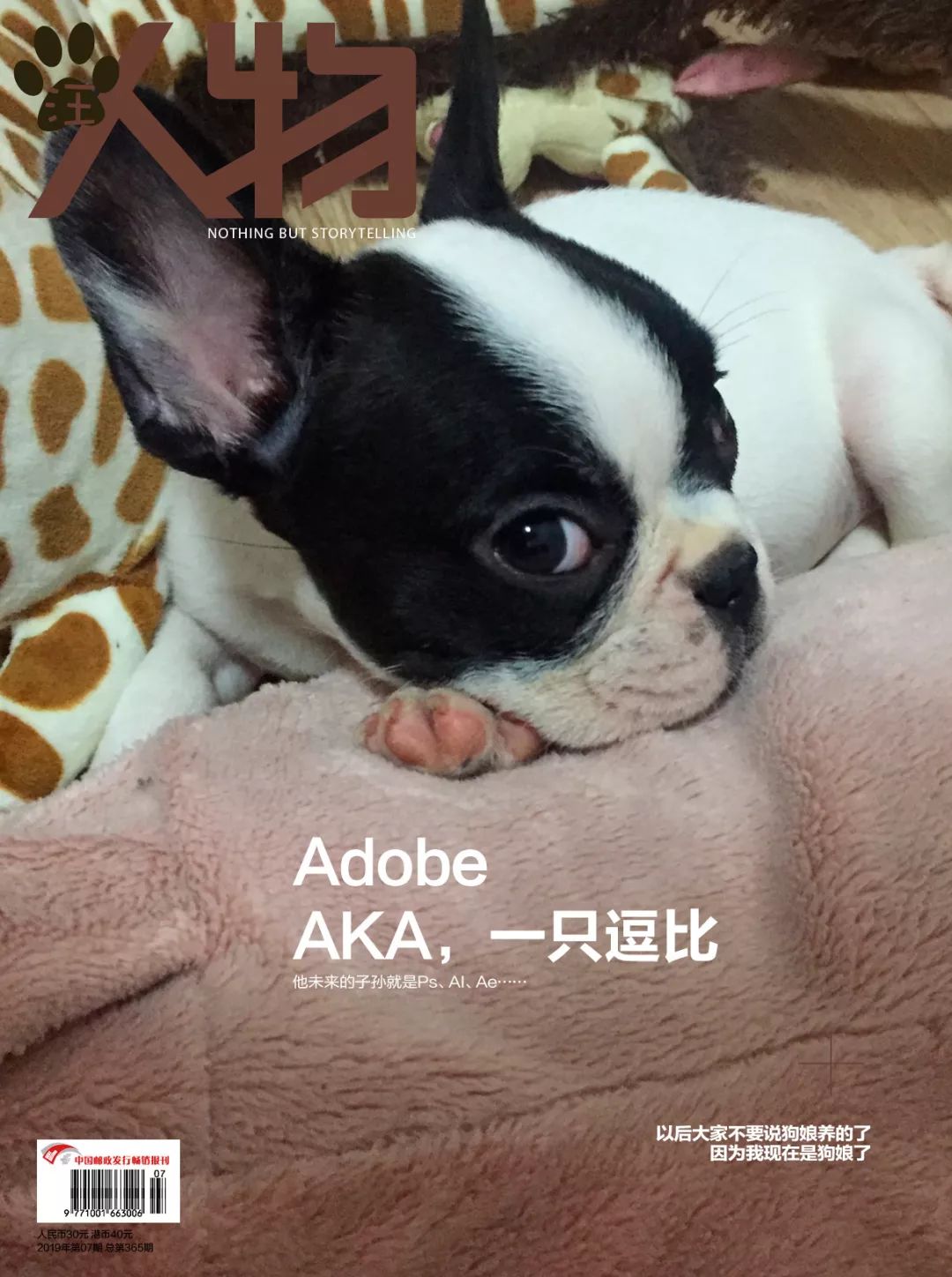 猫知道想主人吗,猫知道下雨下雪