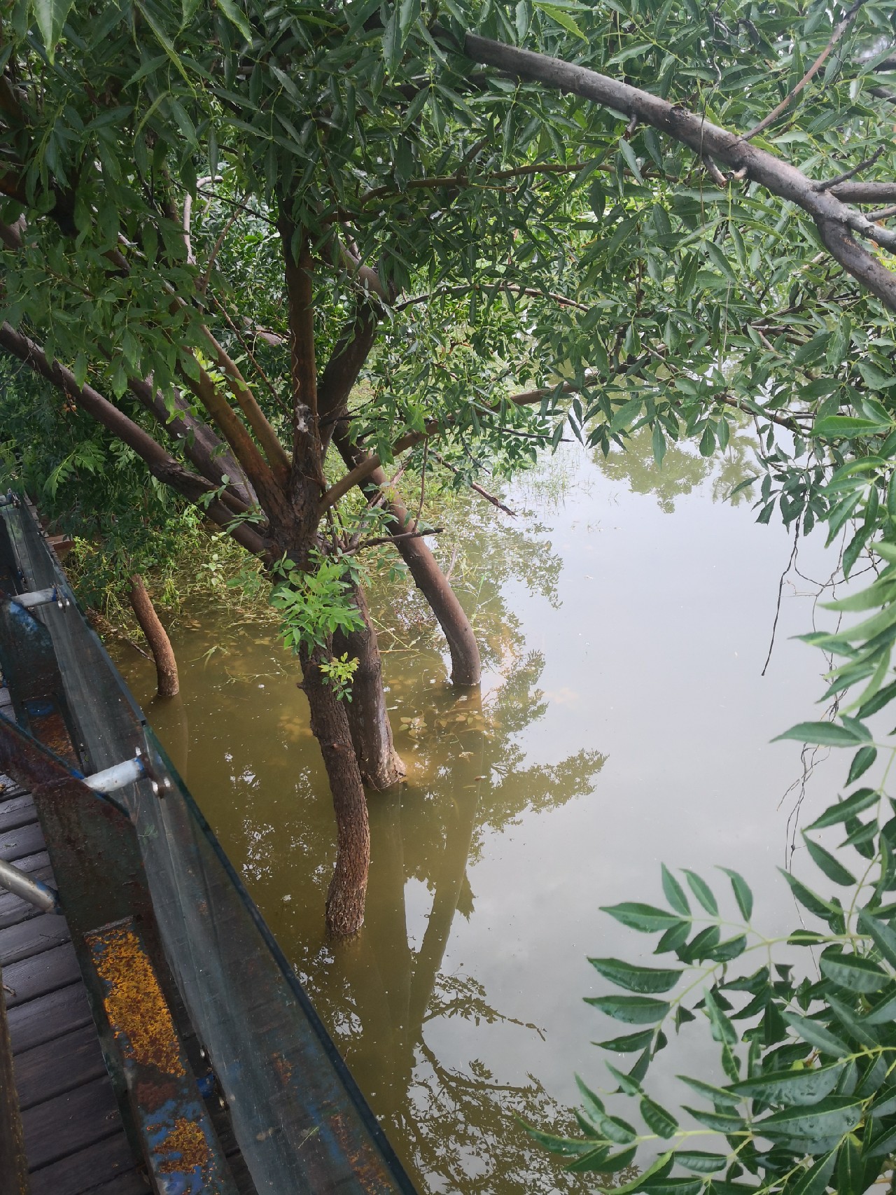 夕阳西下钓鱼人,夕阳西下钓鱼人在河边