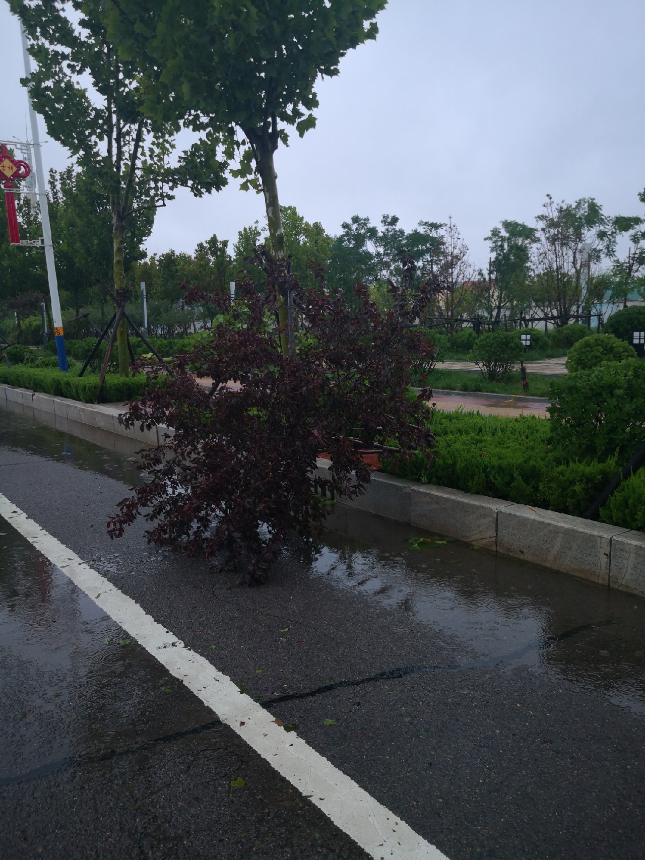 夕阳西下钓鱼人,夕阳西下钓鱼人在河边