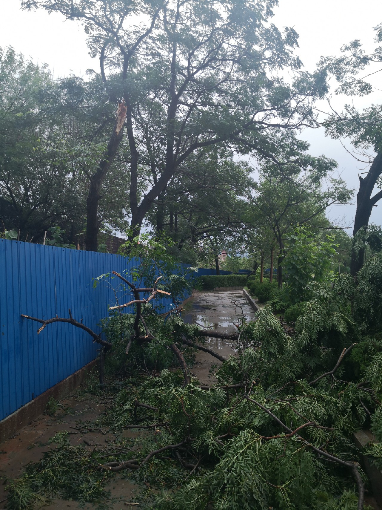 夕阳西下钓鱼人,夕阳西下钓鱼人在河边