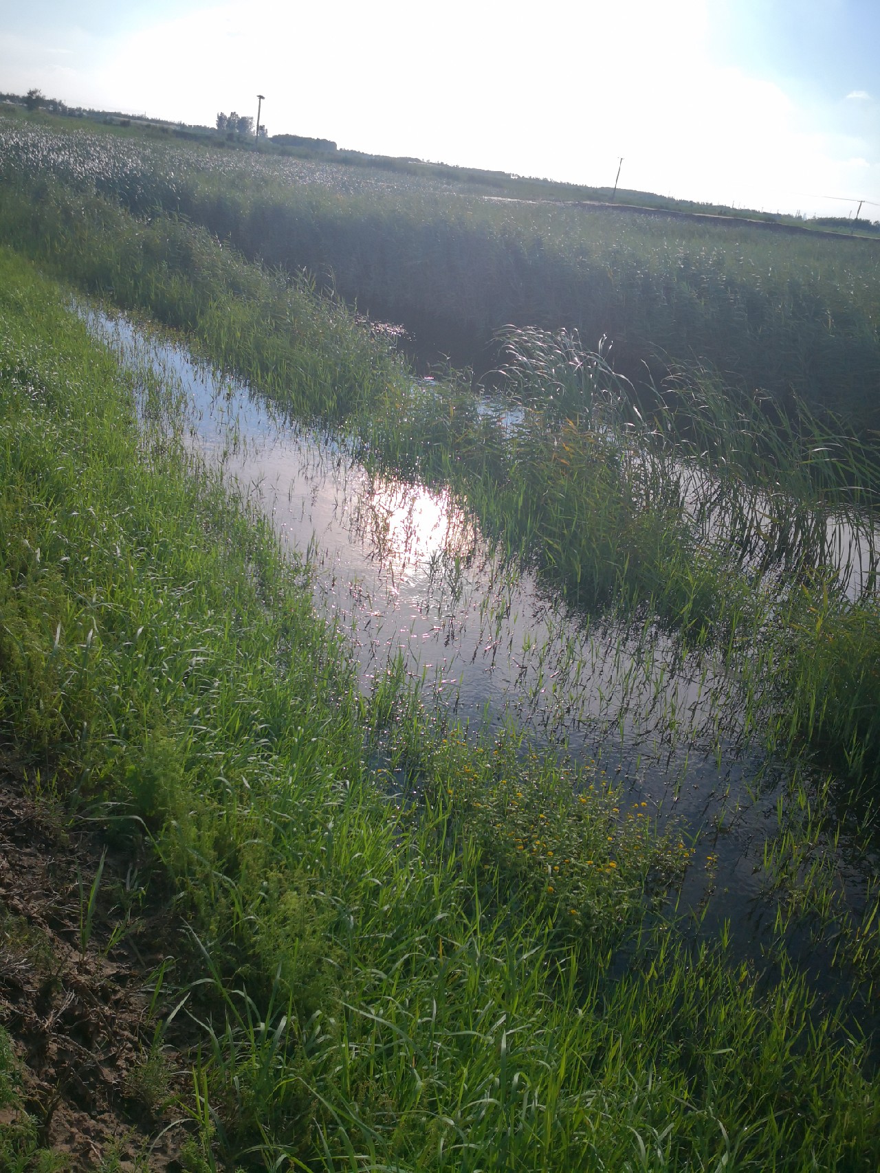 夕阳西下钓鱼人,夕阳西下钓鱼人在河边