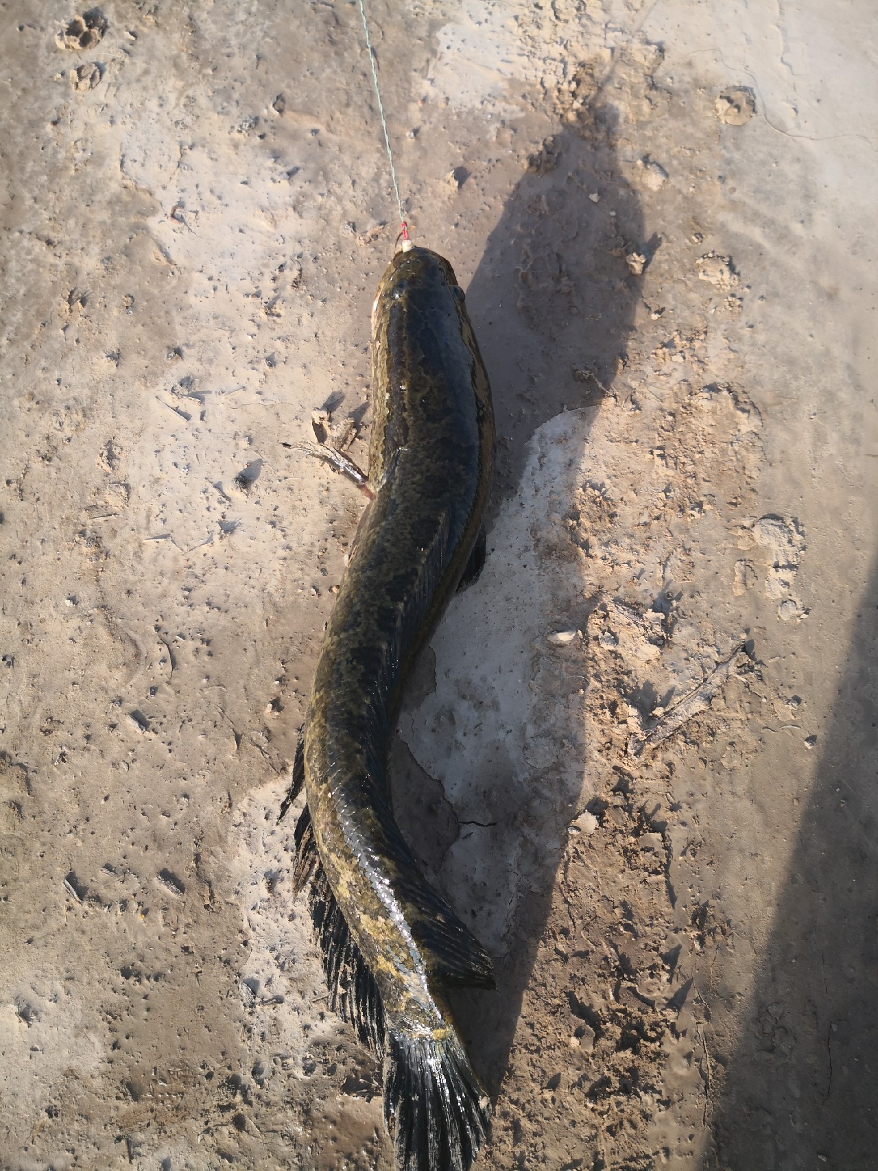 夕阳西下钓鱼人,夕阳西下钓鱼人在河边