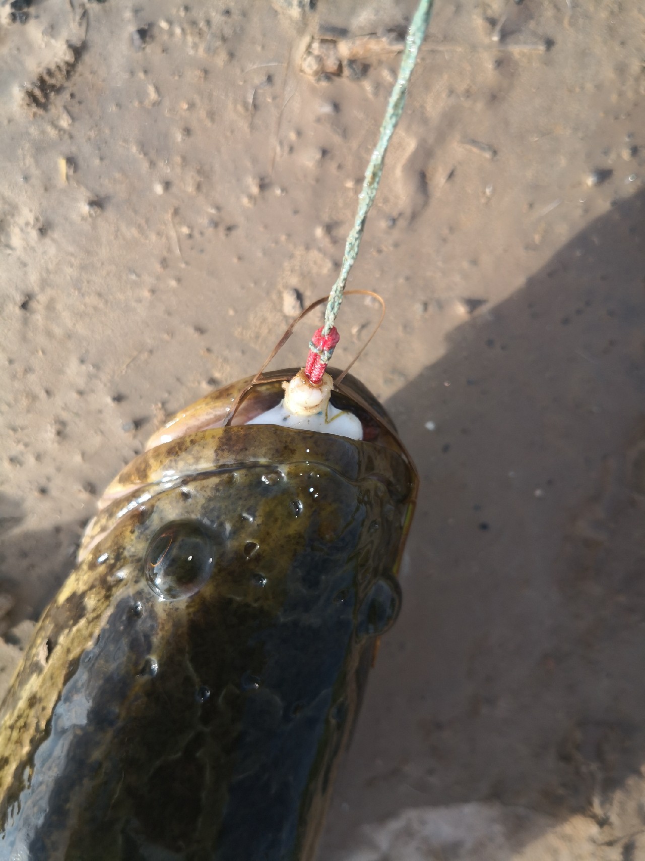 夕阳西下钓鱼人,夕阳西下钓鱼人在河边