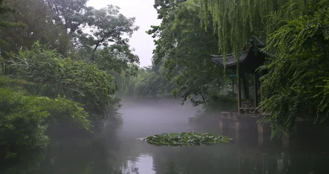 趵突泉真的超美,济南趵突泉是个很大的景点吗