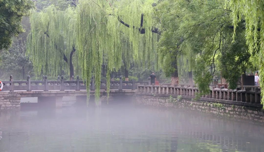 趵突泉真的超美,济南趵突泉是个很大的景点吗