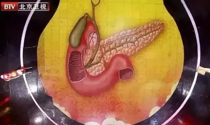 女人肚子为什么容易长赘肉,女性为什么那么容易长肚子