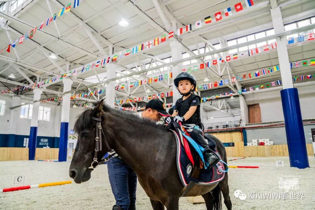 舟山威斯汀打卡攻略,舟山威斯汀和海上丝绸哪家好