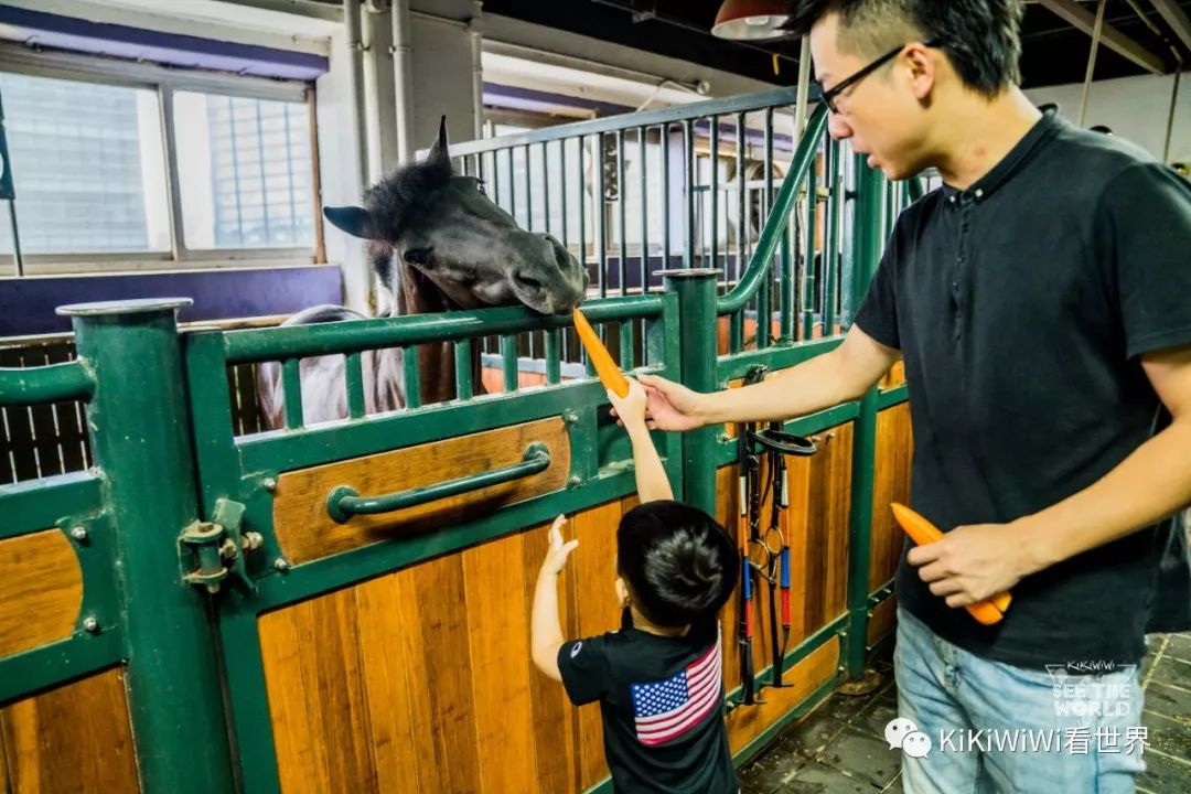 舟山威斯汀打卡攻略,舟山威斯汀和海上丝绸哪家好