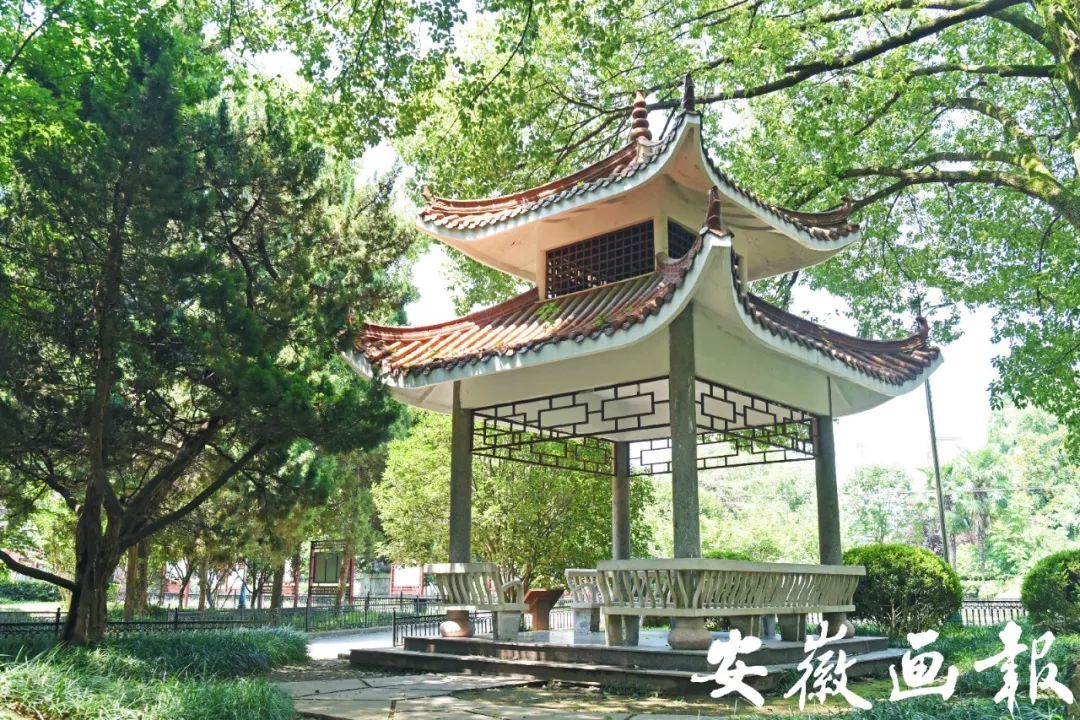 妗愬煄涓鐧惧勾鍚嶆牎,妗愬煄涓杈夌厡鍘嗗彶