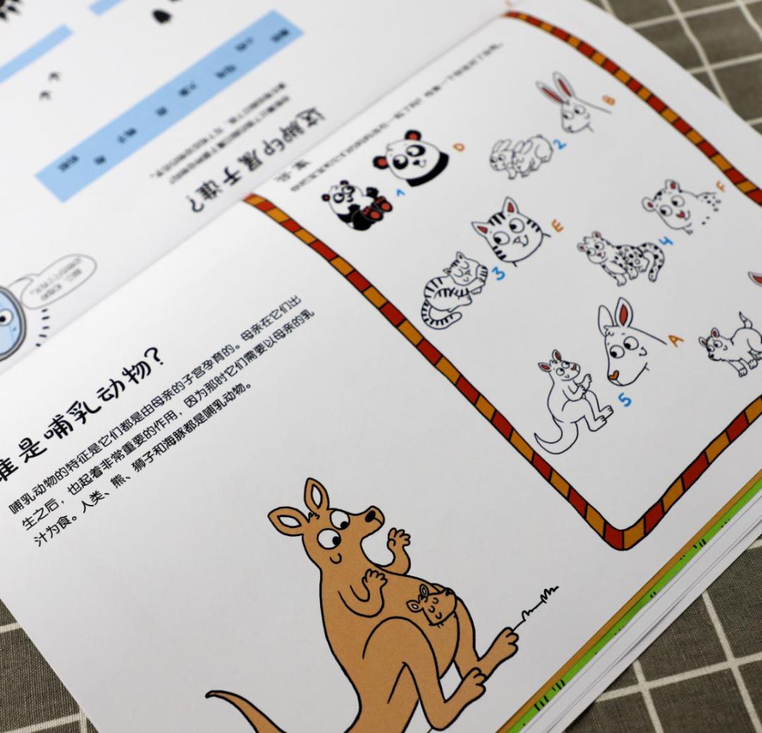 既能学习又能玩的地理游戏,可以学地理的游戏