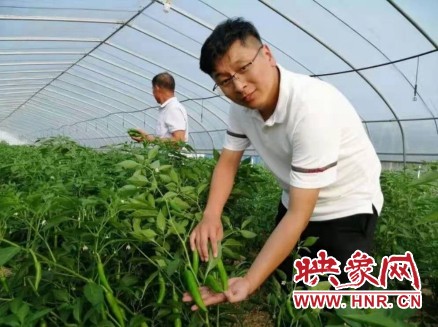 杨广文采特别好,杨广文治武功