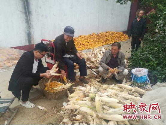 杨广文采特别好,杨广文治武功