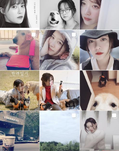 具惠善安宰贤离婚原因是什么？知情人曝光安宰贤离婚真正原因具惠善官宣离婚后反悔了？