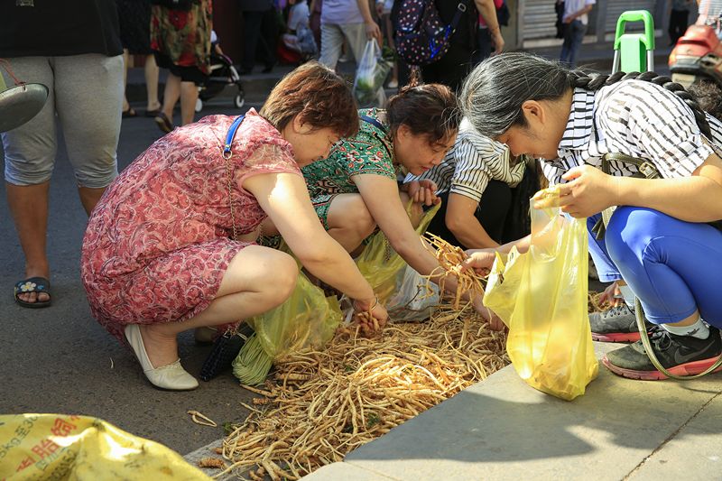 西昌建昌古城全景,逛完西昌的建昌古城应该去哪里逛