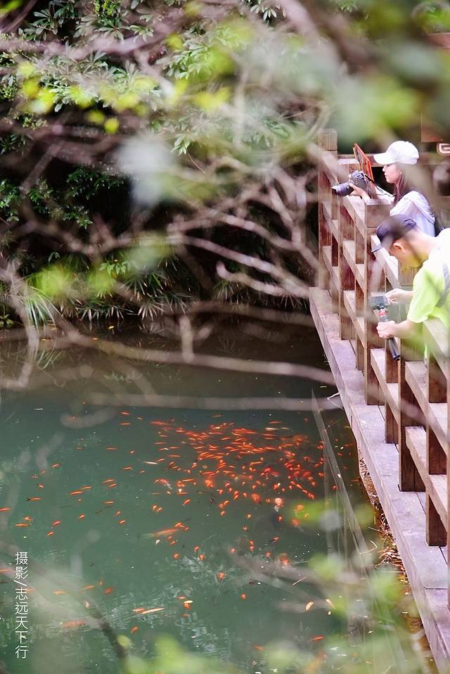 福建最好玩的岛屿,这里是福建最具仙气的一座山