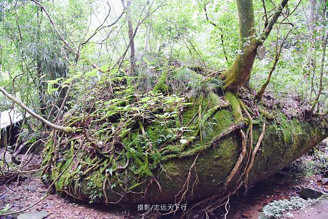 福建最好玩的岛屿,这里是福建最具仙气的一座山