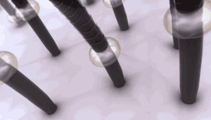 洗发护发头发顺滑日本,爆款日本洗发水