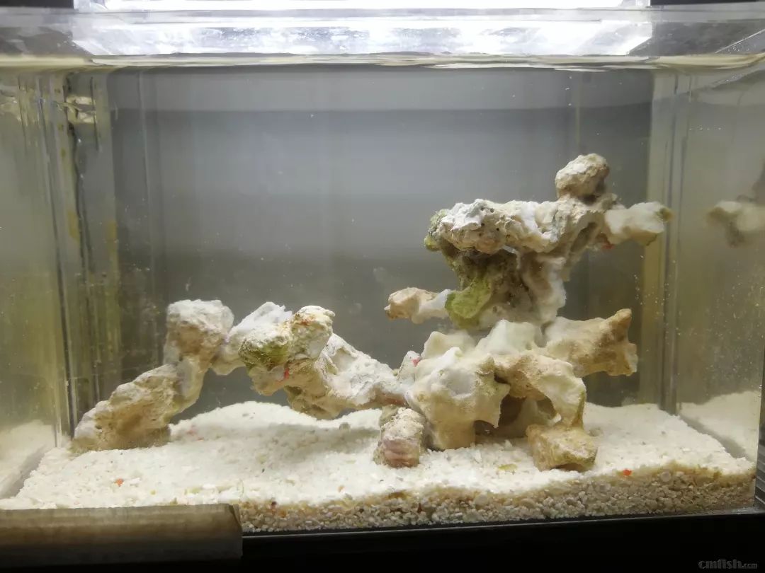 微缸为什么不能超过40公分高,微缸水体容量加大