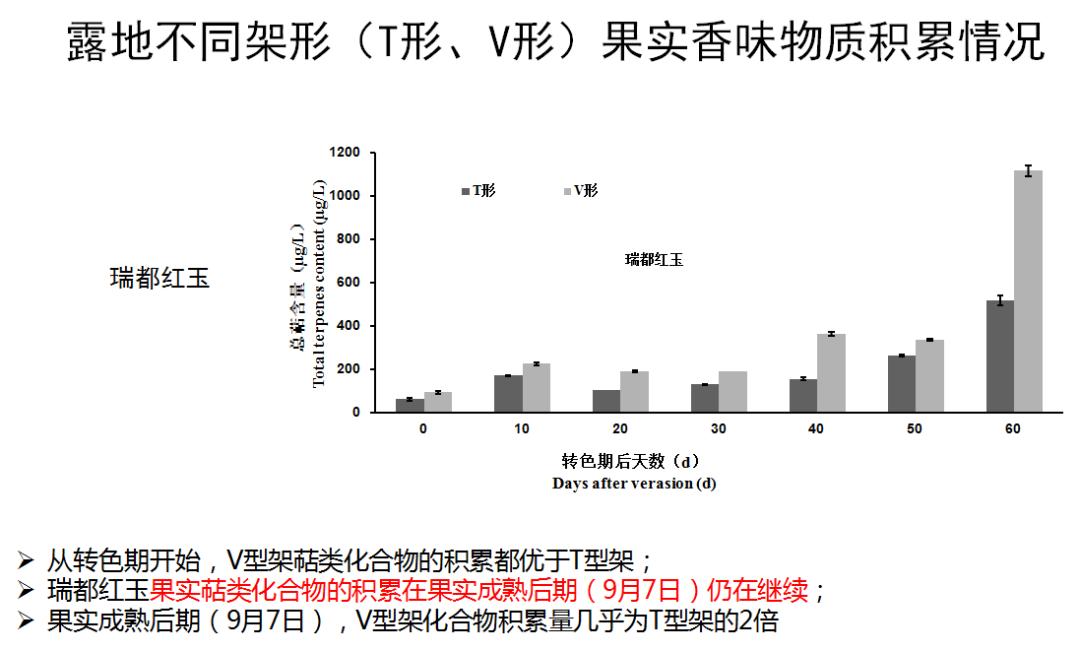 2022年有哪些新葡萄品种,2019葡萄新品种介绍