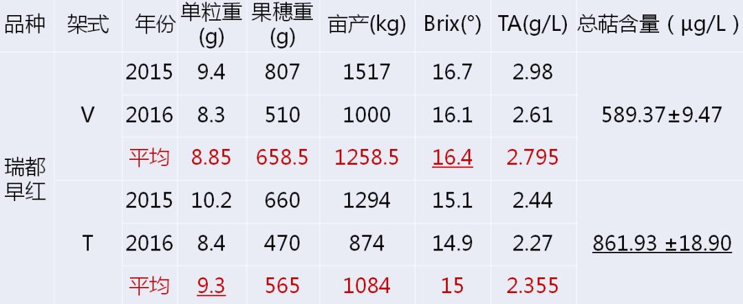 2022年有哪些新葡萄品种,2019葡萄新品种介绍