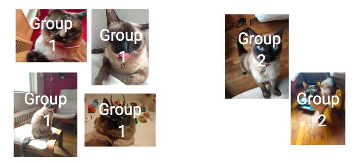 google科学家,google学术搜索综述文章