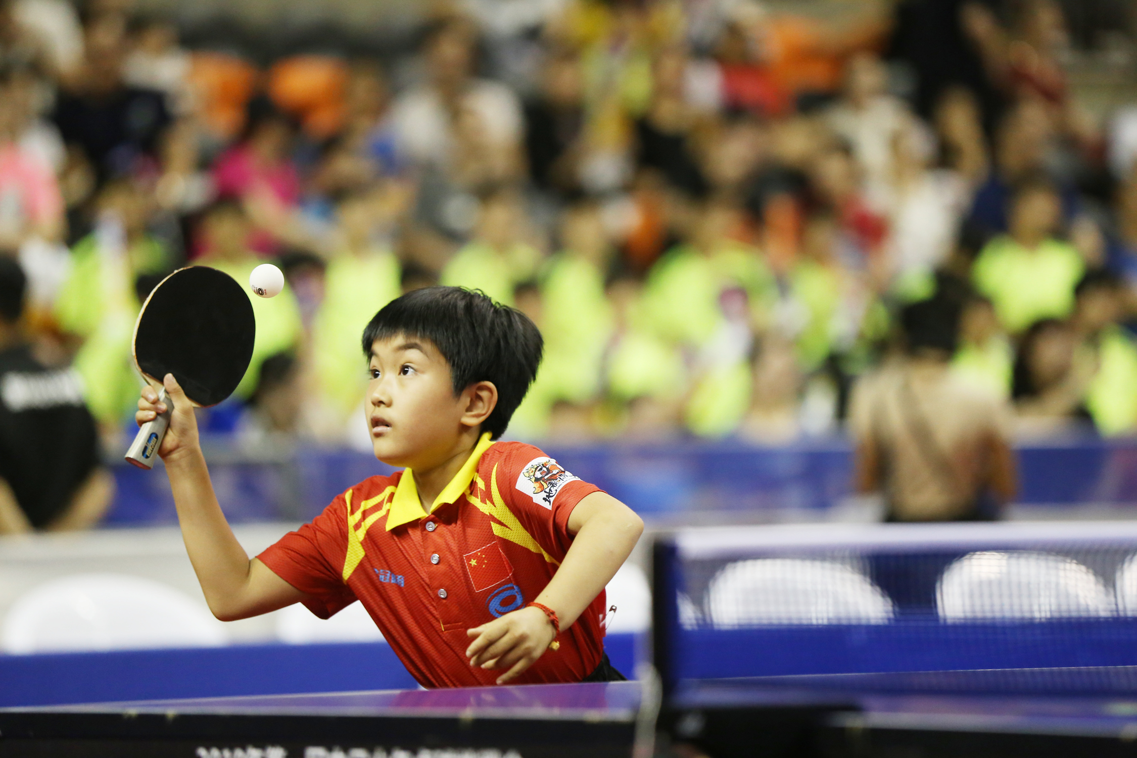 2019中日少儿乒乓球挑战赛,2019年中日少儿乒乓球挑战赛