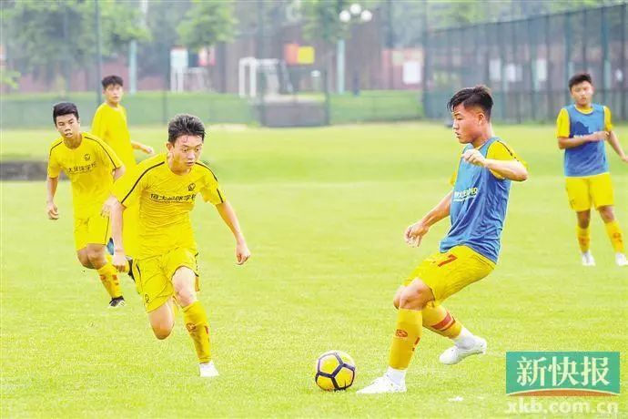 广东媒体聚焦篮球亚冠,媒体聚焦专栏